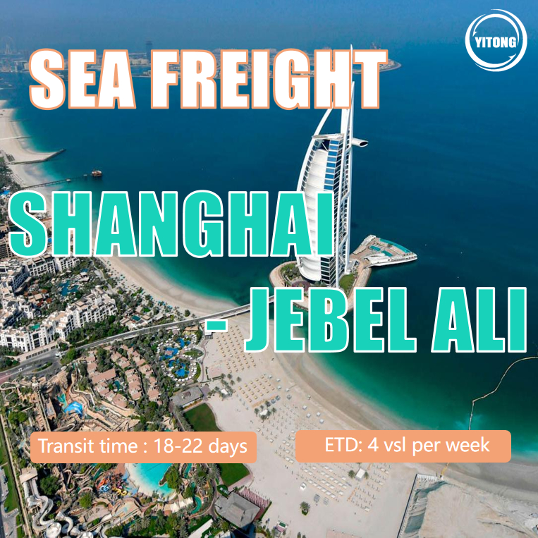 Sea Cargo From Shanghai To Jebel Ali, UAE
